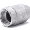 Clapet anti-retour, en acier inoxydable, fileté | 1 1/4”